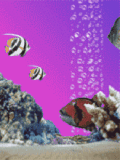 Fond écran animé Mobile Gratuit - Aquarium 5